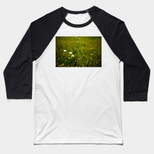 Wild flowers in a field Baseball T-Shirt